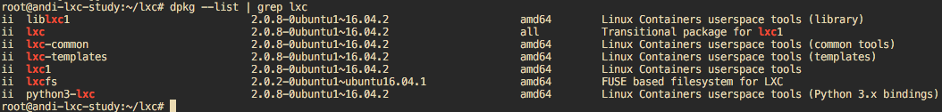 dpkg --list | grep lxc